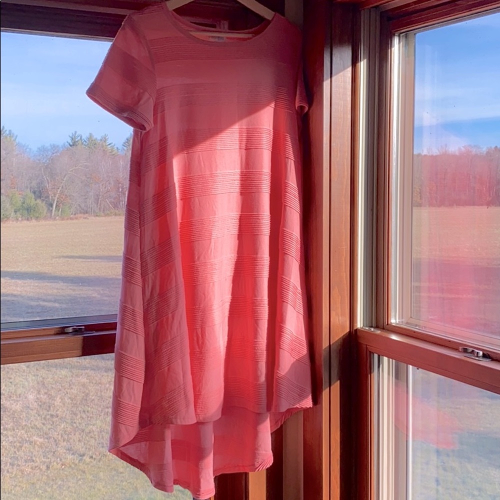 LulaRoe Carly dress